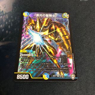 「雷光の聖騎士」