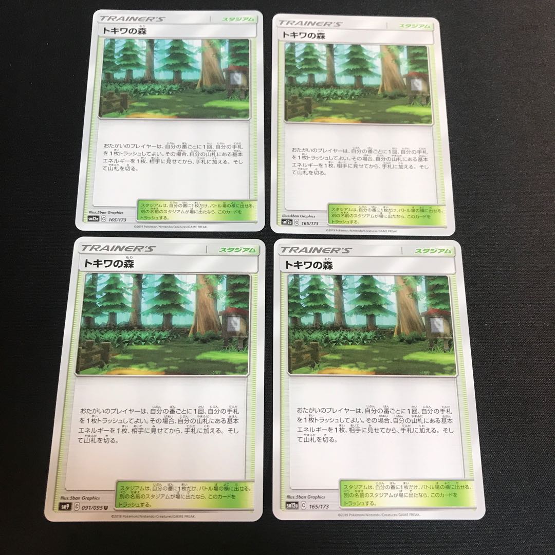 トキワの森　②