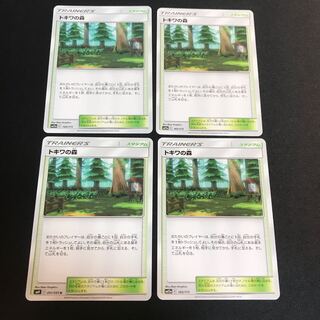 トキワの森　②