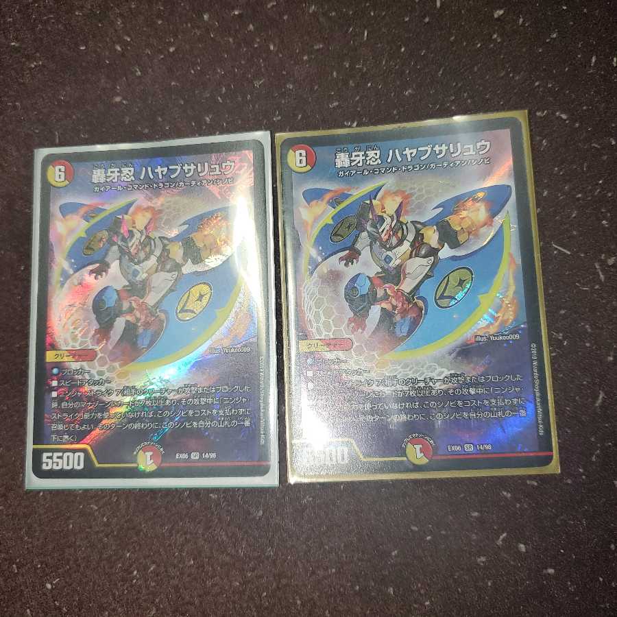 轟牙忍 ハヤブサリュウ