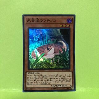 未界域のツチノコ スーパーレア　マホ子