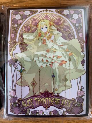 sao a Squirrel Sleeve