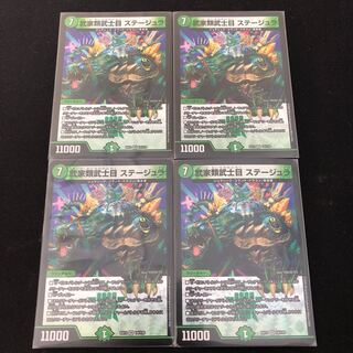 武家類武士目 ステージュラ