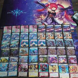 スタージュンも認めた‥？アフリカンカリヤドネ　解説付き