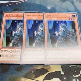 屋敷わらし 英語版 EU イラスト違い 英語