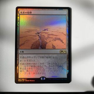 mtg 死者の原野 foil