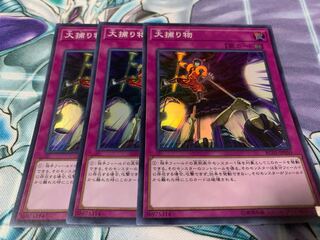 大捕り物 スーパーレア