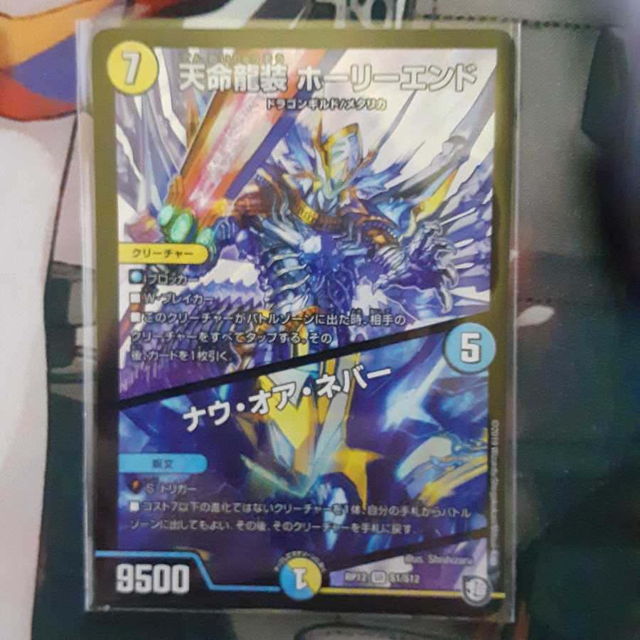 天命龍装 ホーリーエンド/ナウ・オア・ネバー