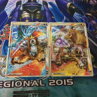 スイクン&エンテイ　エンテイ&ライコウ　セット