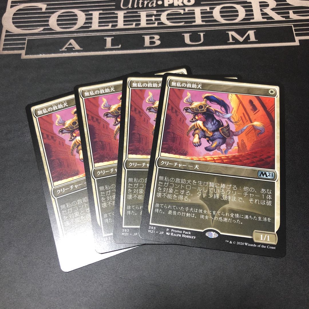 無私の救助犬　プロモ