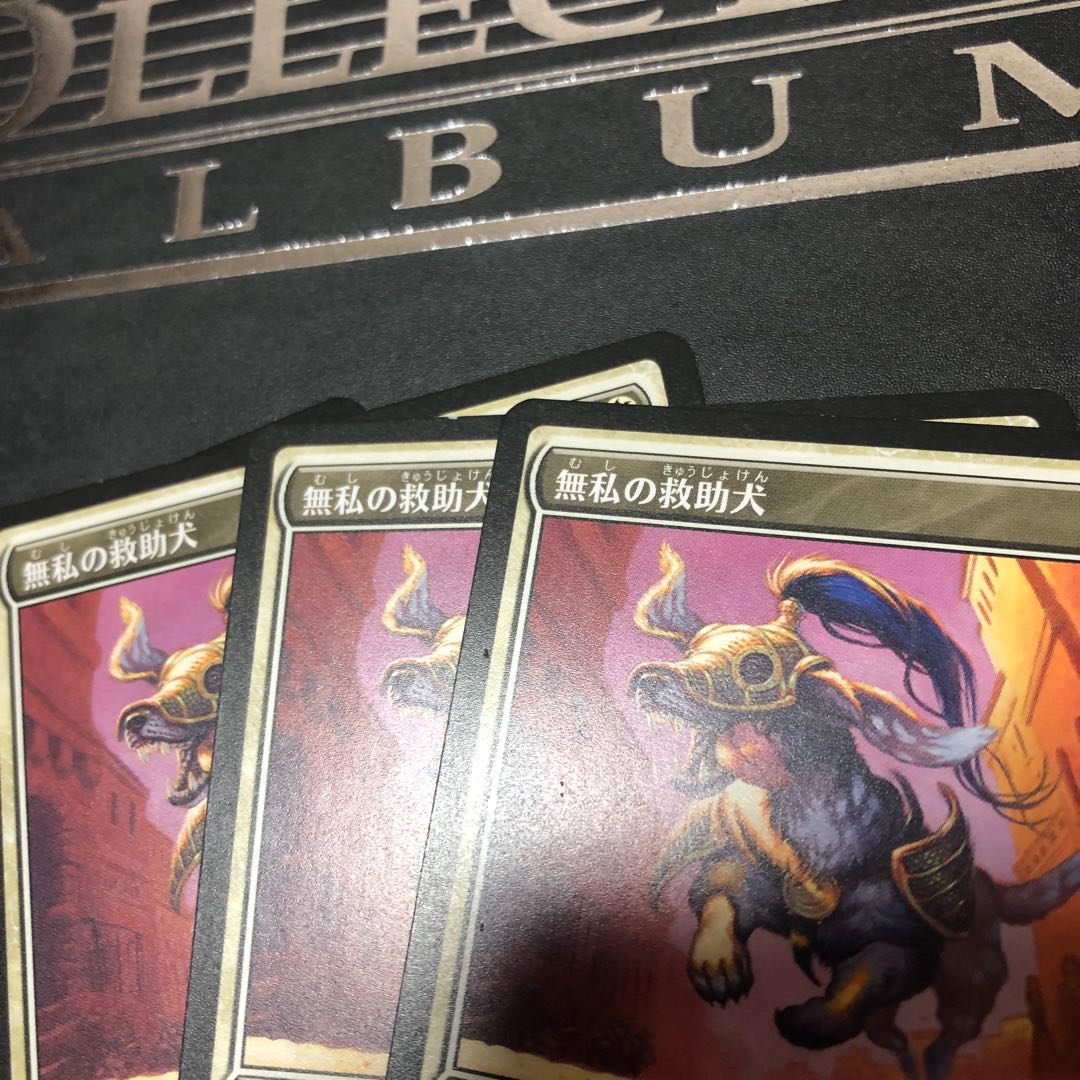 無私の救助犬　プロモ