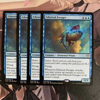 天上の餌あさり 4枚 ④