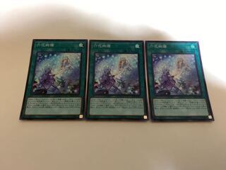 遊戯王 六花絢爛 3枚セット