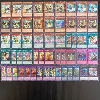 霊獣使い　本格構築　遊戯王No.69