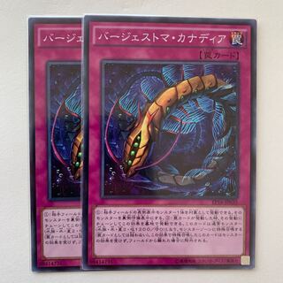 バージェストマ・カナディア ノーマル