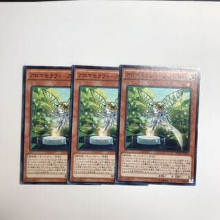 アロマセラフィ-アンゼリカ