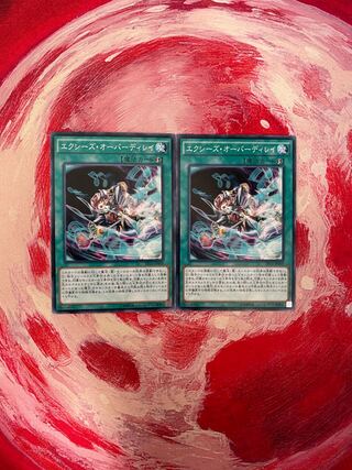 エクシーズ・オーバーディレイ ノーマル　2枚