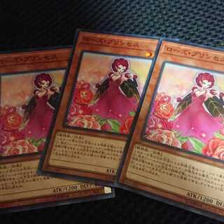 ローズ・プリンセス ノーマル