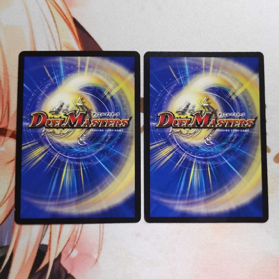 煌龍 サッヴァーク