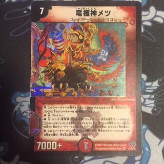 秋風様専用 竜極神メツ