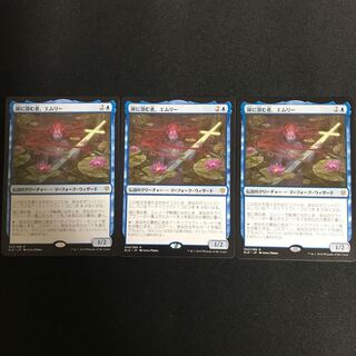 3枚セット 湖に潜む者、エムリー 通常版日本語