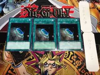 テラ・フォーミング ノーマル 3枚セット てら