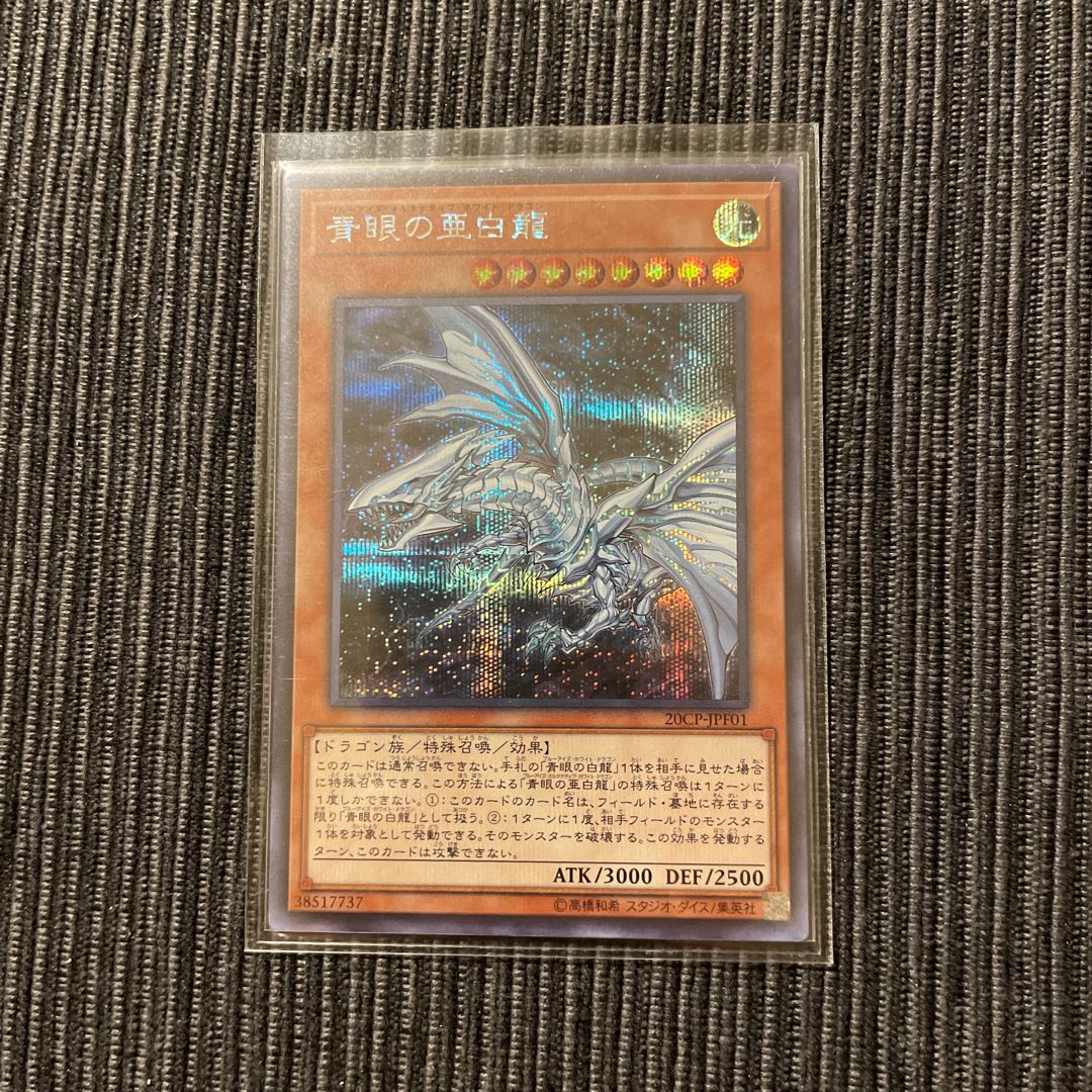 青眼の亜白龍