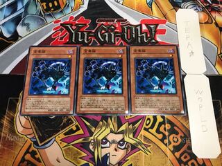 金華猫 ノーマル 3枚セット てら