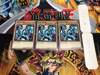 青眼の白龍 DP20 ノーマル 3枚セット てら