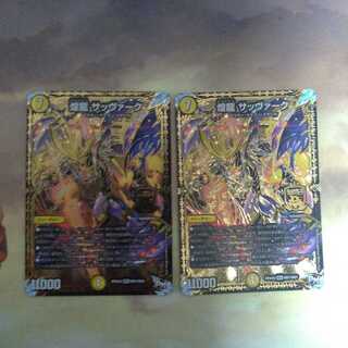 煌龍 サッヴァーク