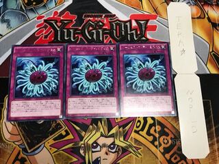 バージェストマ・ディノミスクス EP16 レア 3枚セット てら