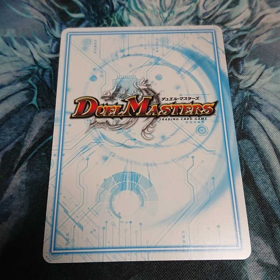 アカカゲ・レッドシャドウ