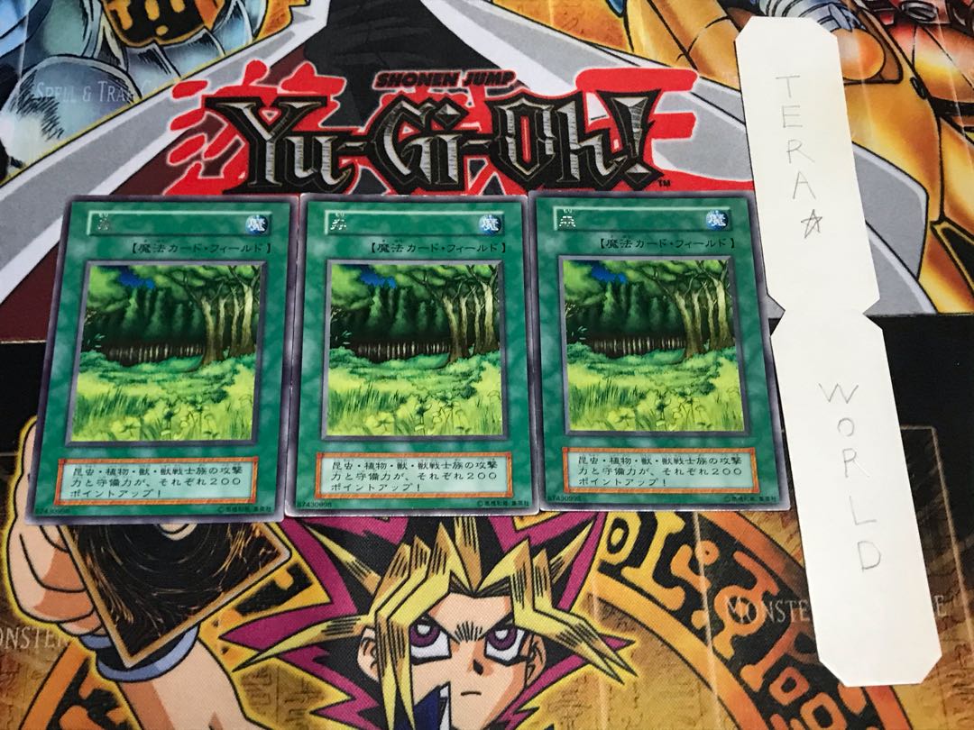 森 初期 レア 3枚セット てら