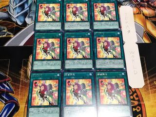 錬装融合 レア 9枚セット てら