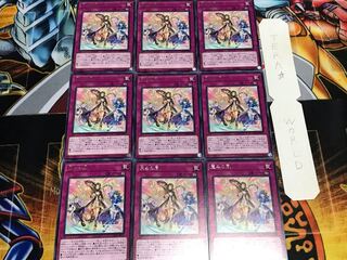 恵みの風 レア 9枚セット てら