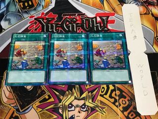 化石調査 ノーマルパラレル 3枚セット てら