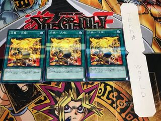 炎舞-「天キ」 ノーマルパラレル 3枚セット てら