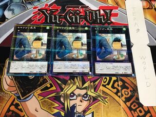 キキナガシ風鳥 ノーマルパラレル 3枚セット てら