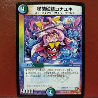 old4211 set discount on the set of the fierce fungus fairy Konayuki