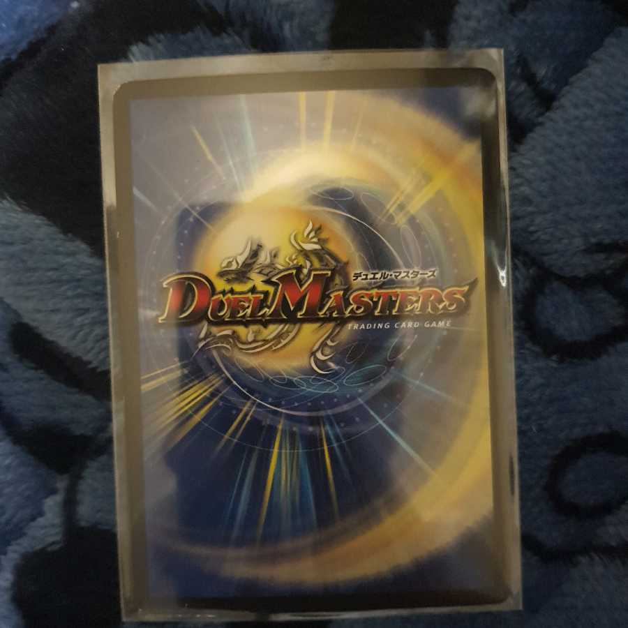 熊四駆ベアシガラ