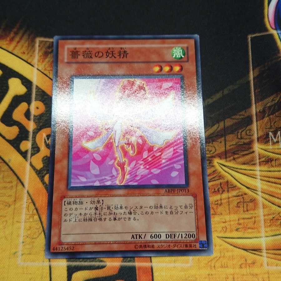 薔薇の妖精 ノーマル 三枚セット