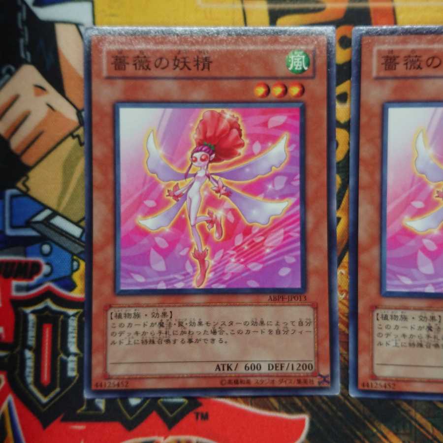 薔薇の妖精 ノーマル 三枚セット