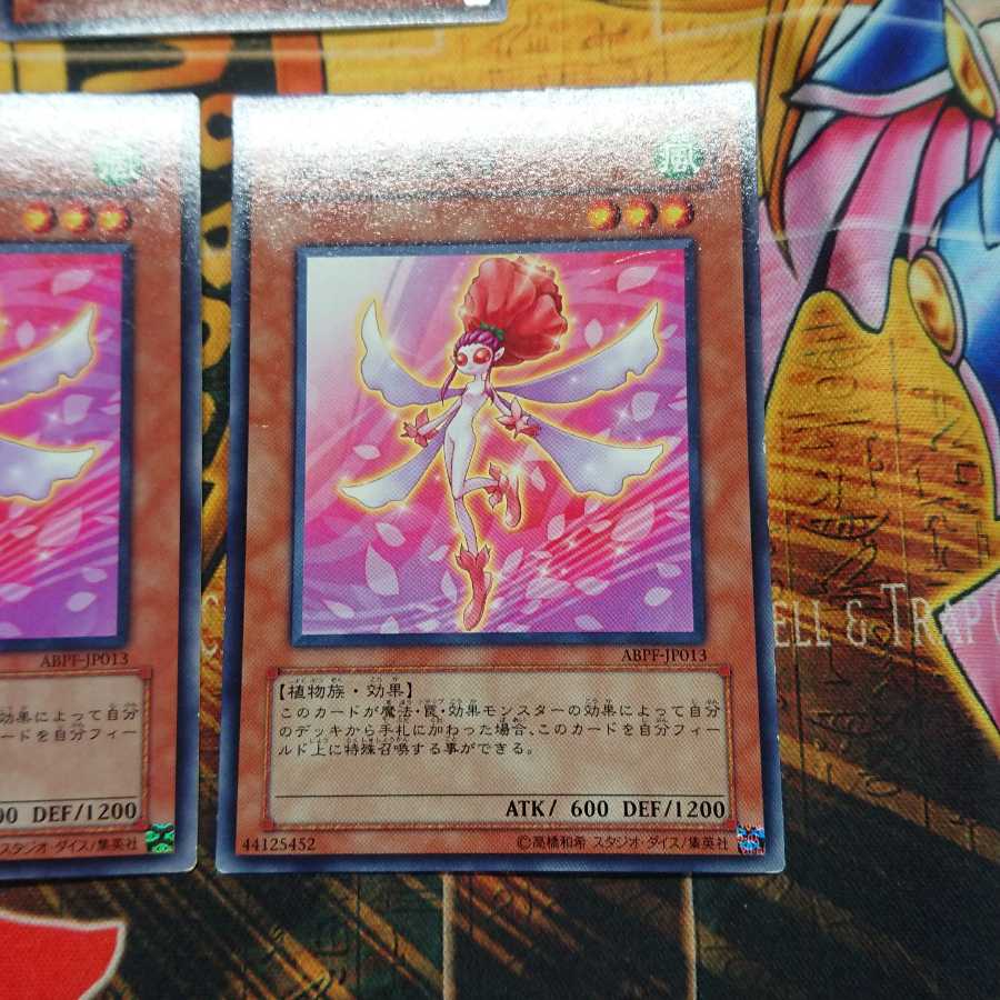 薔薇の妖精 ノーマル 三枚セット