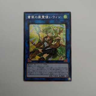 蒼翠の風霊使いウィン　アジア　シークレット　アジアシク