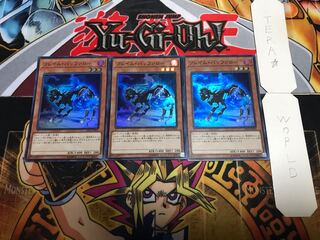 フレイム・バッファロー スーパー 3枚セット てら