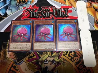 ファーニマル・オクト スーパー 3枚セット てら