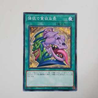 強欲で貪欲な壺 N