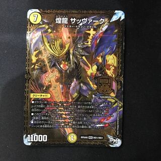 煌龍 サッヴァーク