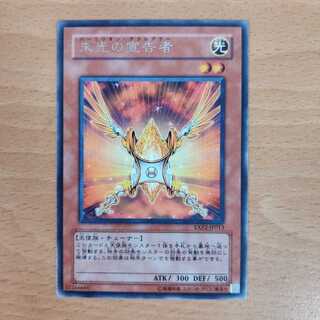 朱光の宣告者 レア