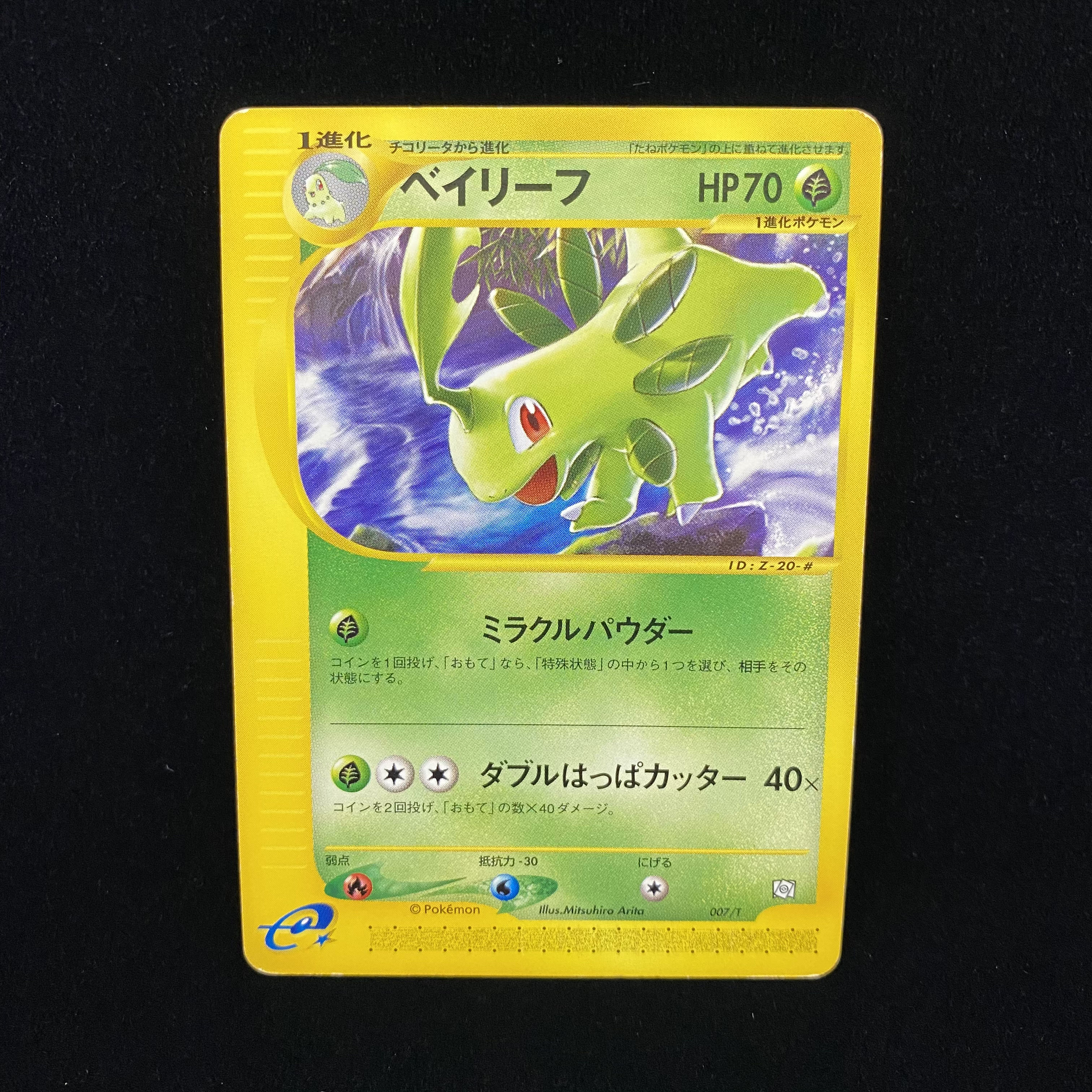 Quilava Croconaw Bayleef Pokemon Card e